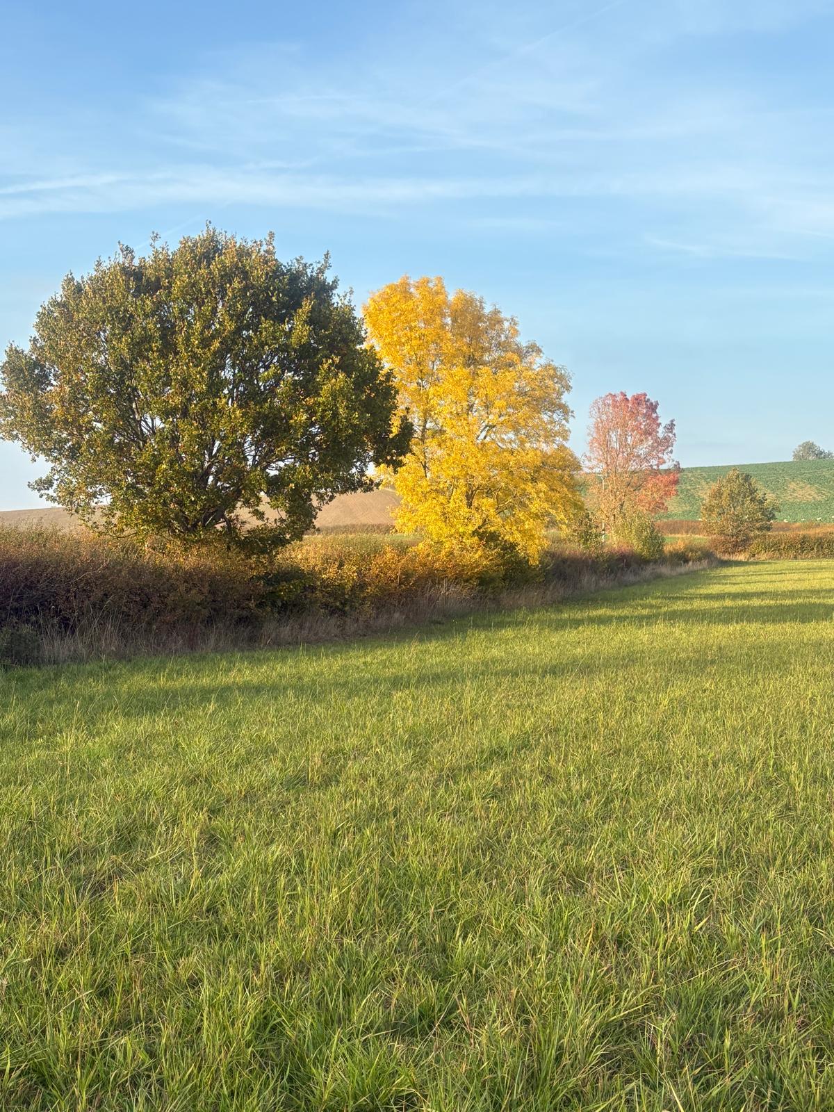 The surrounding countryside